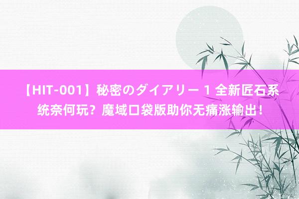 【HIT-001】秘密のダイアリー 1 全新匠石系统奈何玩？魔域口袋版助你无痛涨输出！