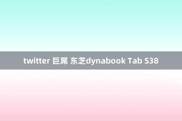 twitter 巨屌 东芝dynabook Tab S38