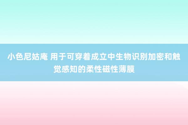 小色尼姑庵 用于可穿着成立中生物识别加密和触觉感知的柔性磁性薄膜