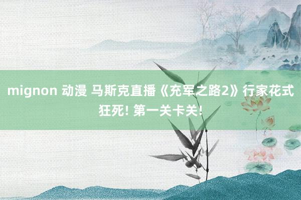 mignon 动漫 马斯克直播《充军之路2》行家花式狂死! 第一关卡关!